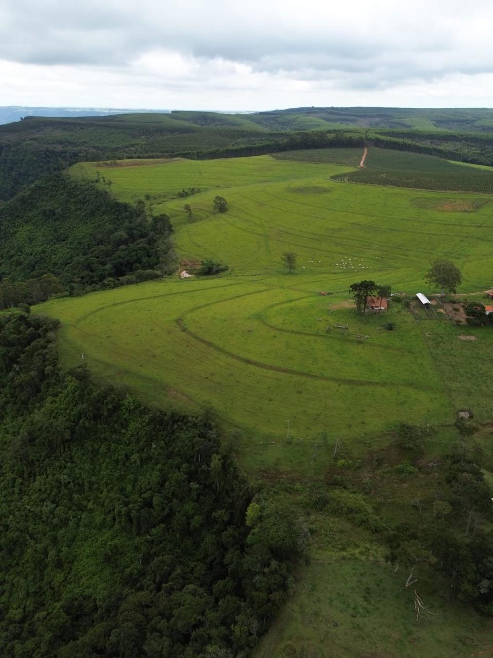 FAZENDA - ALTO DA SERRA ITAQUERI - REGIÃO DE IPEÚNA/SP
